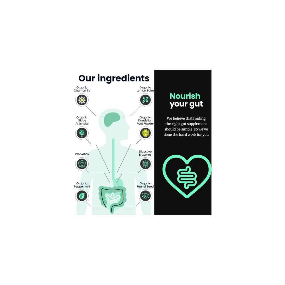 Gut 3-in-1 - 60 Capsules | Feel Complete